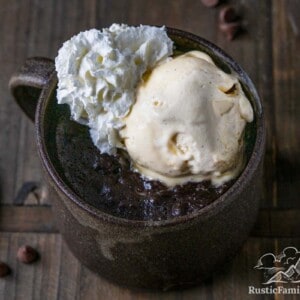 Brownie in a mug with ice cream and whipped cream