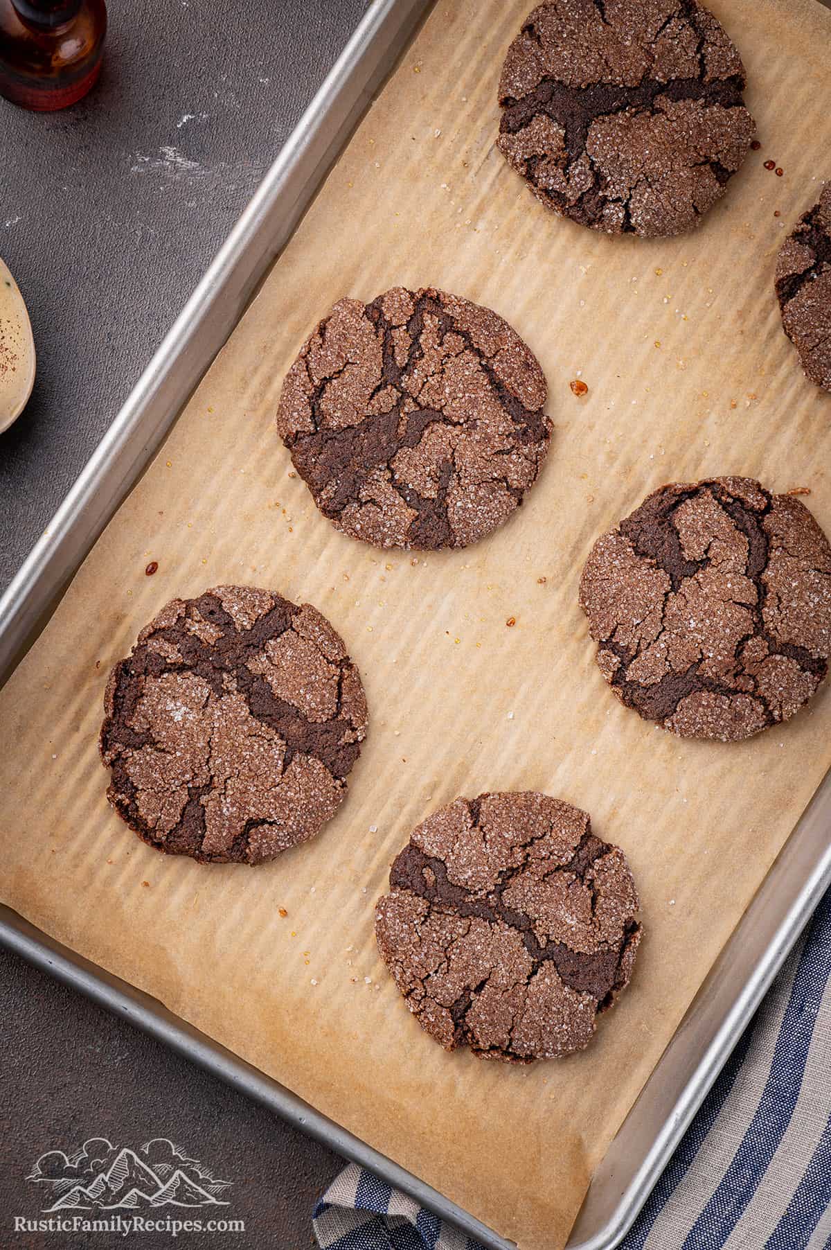 Freshly baked chocolate sugar cookies on a baking tray