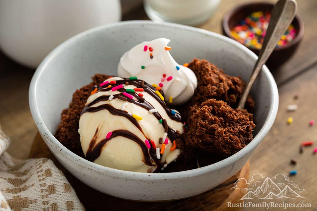 Chocolate mug cake served in a bowl with ice cream, whipped cream and sprinkles