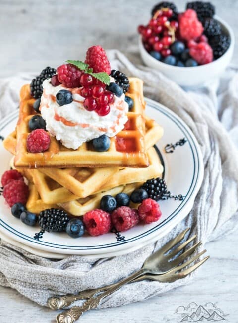 A stack of sourdough waffles topped with berries and whipped cream