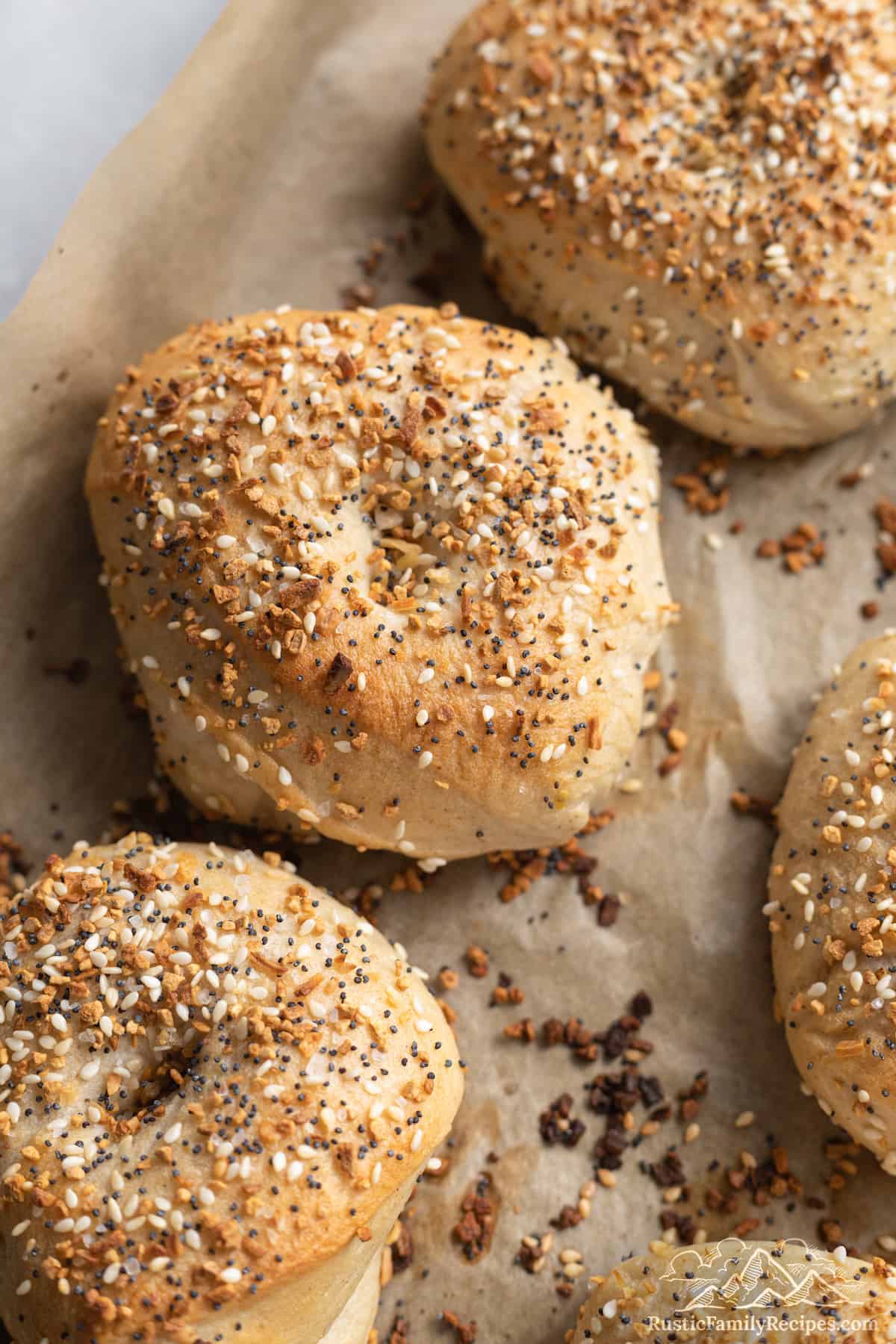 Freshly baked sourdough everything bagels on a baking sheet