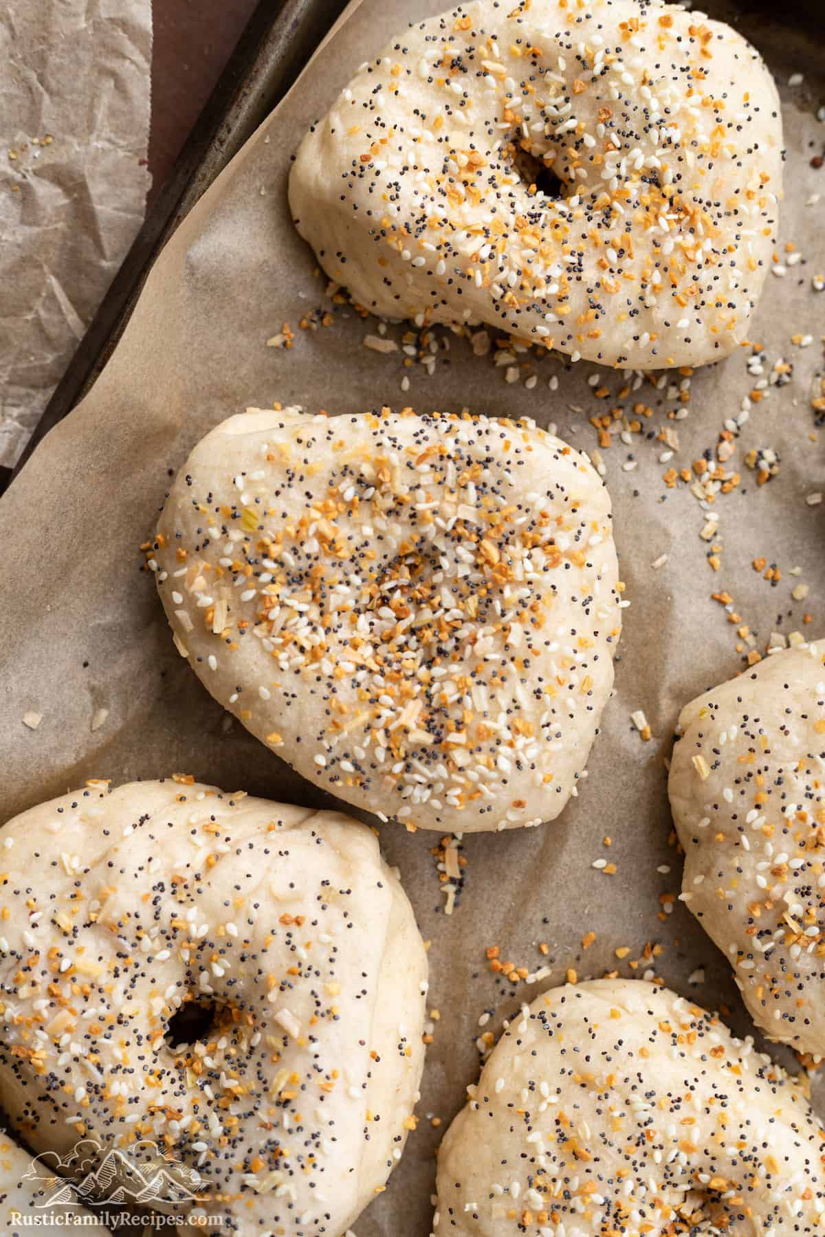Raw bagels after boiling, sprinkled with everything bagel seasoning