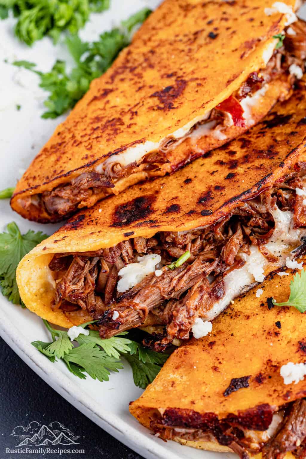 The BEST Quesabirria Tacos Recipe | Rustic Family Recipes