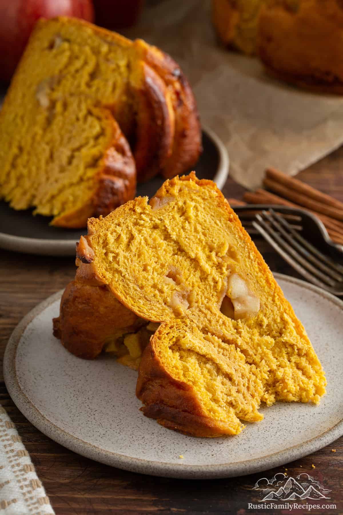 Slice of Pumpkin Apple Apricot Bread on plate