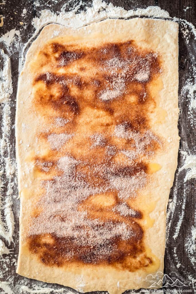 Sourdough Cinnamon Roll dough with cinnamon sugar sprinkled over top