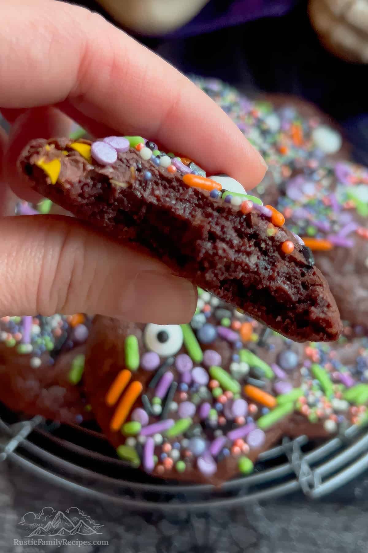 Hand holding a Chocolate Monster Cookie with a bite taken out.