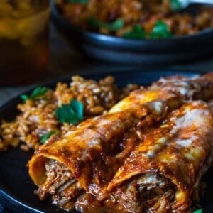 Two birria enchiladas on a plate with mexican rice
