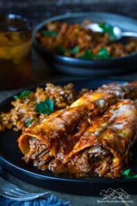Two birria enchiladas on a plate with mexican rice