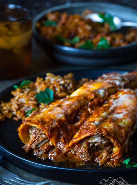 Two birria enchiladas on a plate with mexican rice