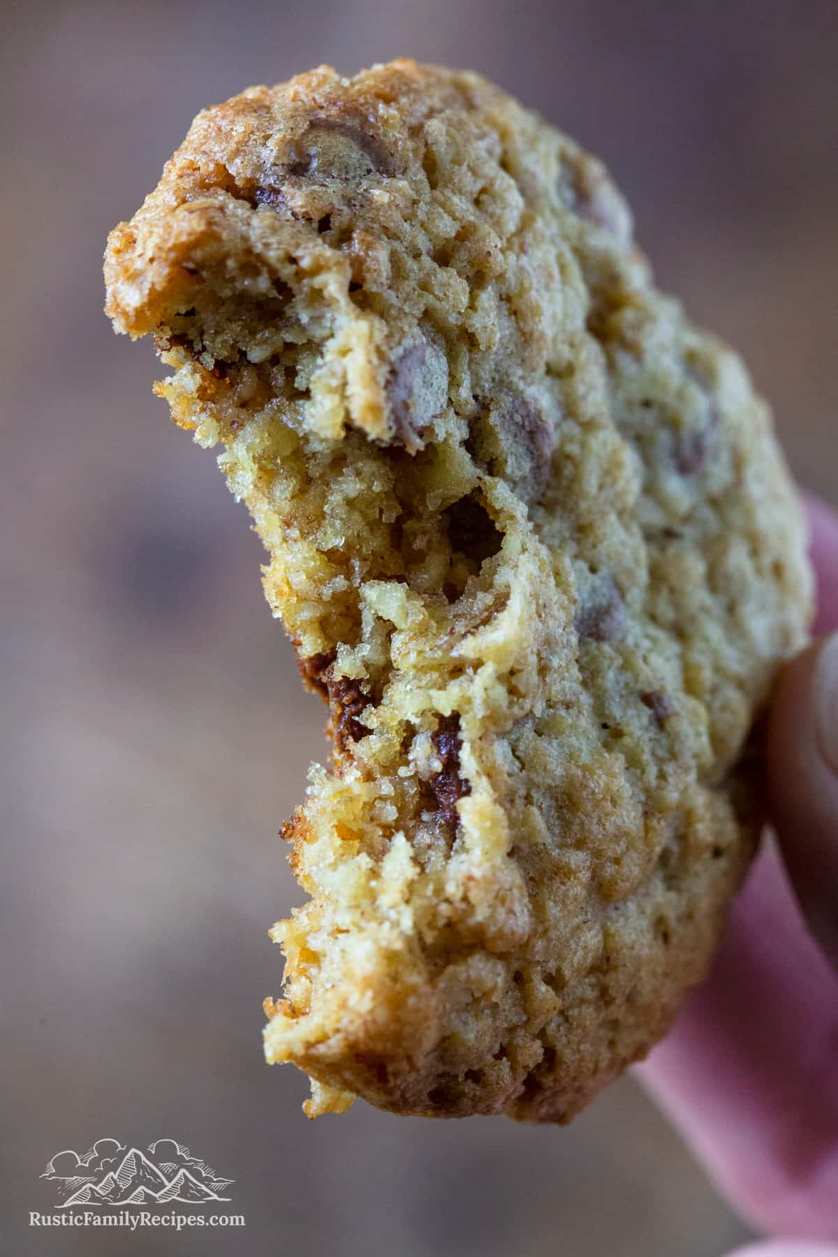 Close up of a peanut butter oatmeal chocolate chip cookie with a bite taken out