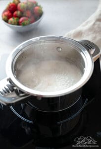 Coconut milk boiling on a stove