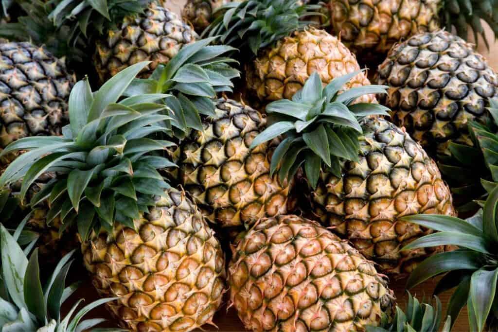 Pineapples in a pile