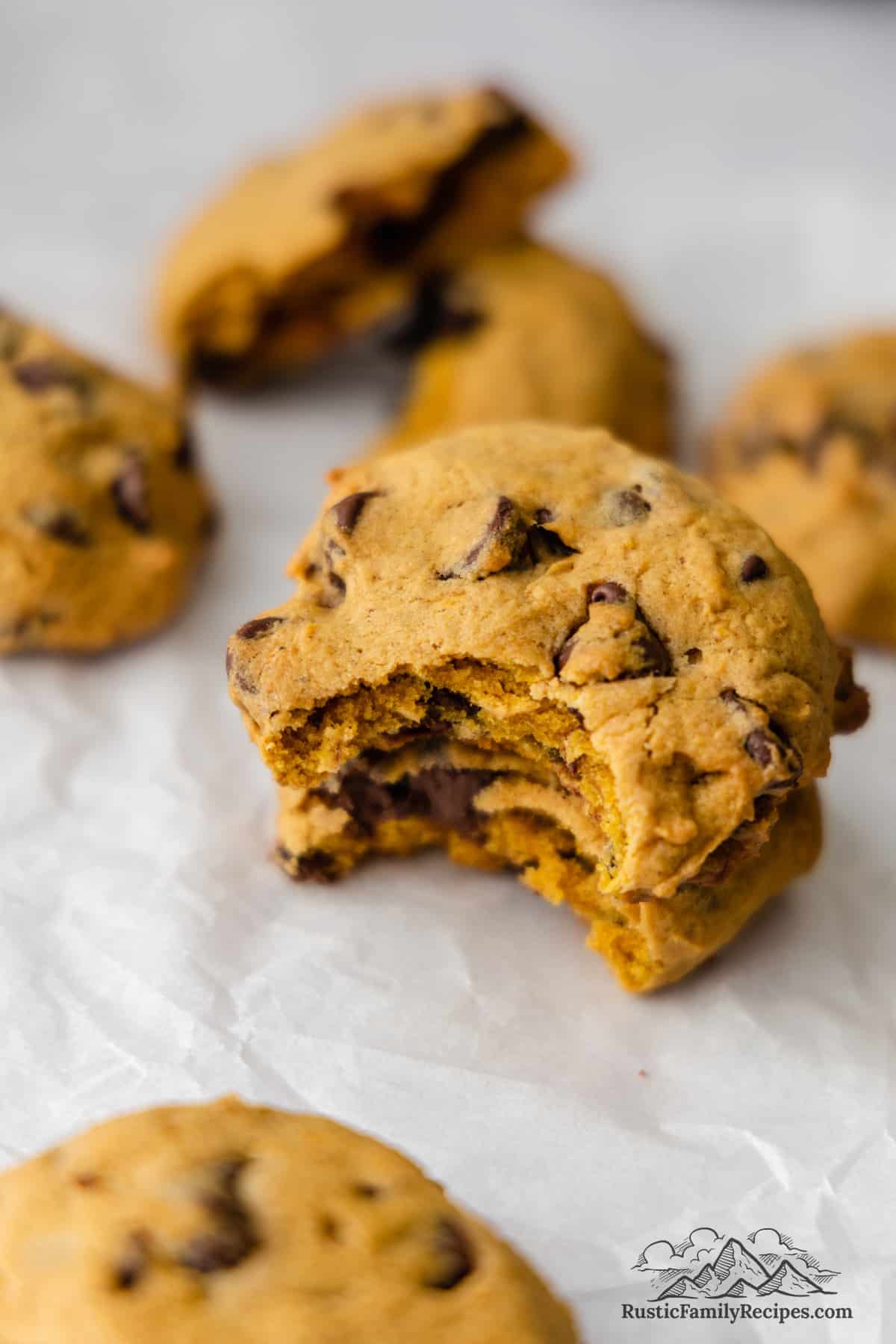 Two pumpkin chocolate chip cookies stacked on top of one another, both with bites missing.