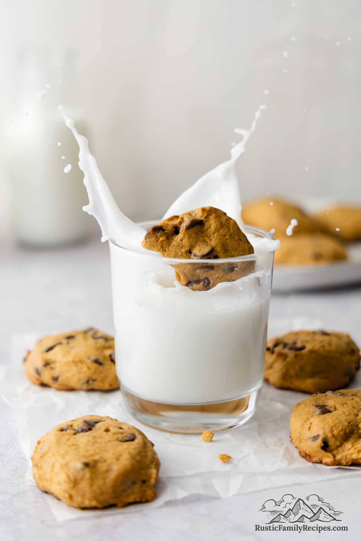 A pumpkin chocolate chip cookie is dropped into a glass of milk, causing the milk to splash.