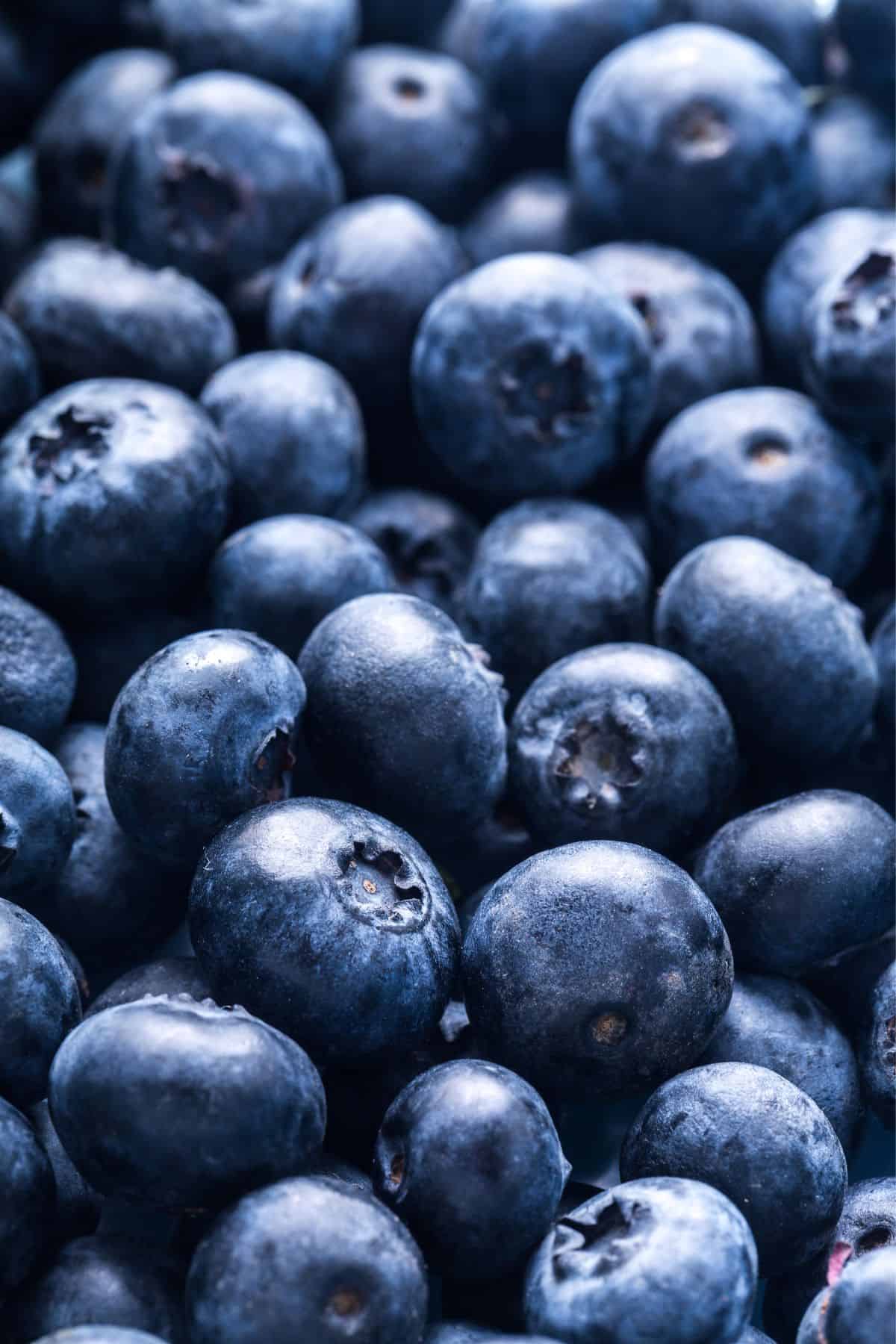 Close up of fresh blueberries