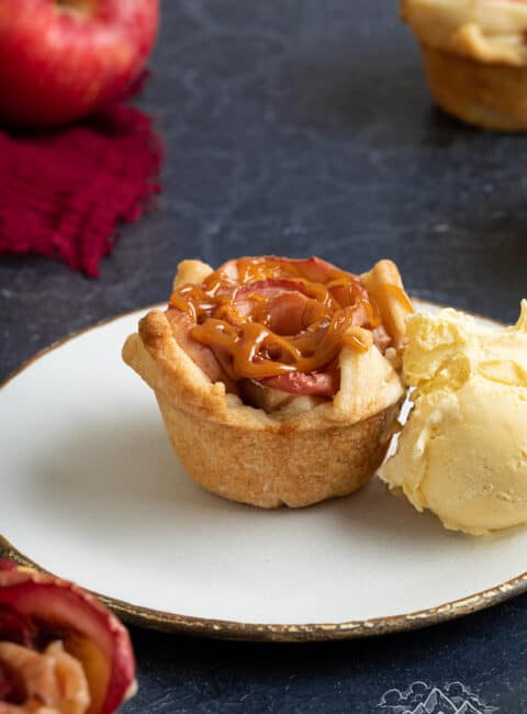 An apple tartlet on a plate with ice cream
