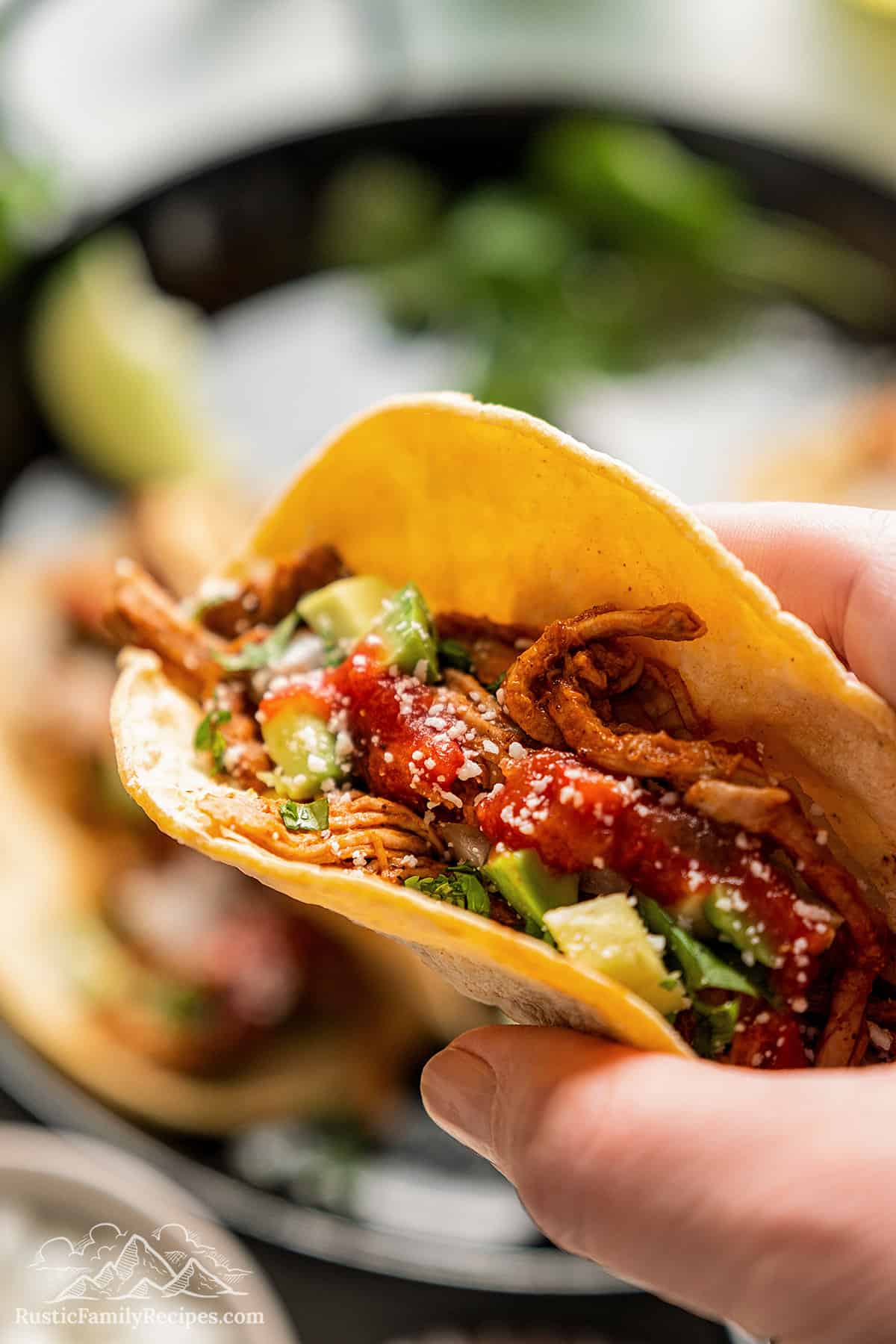 Close-up of a yucatan pork taco. 