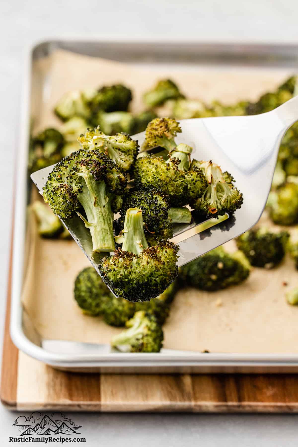 A spatula with roasted broccoli on it in front of a baking sheet with more broccoli
