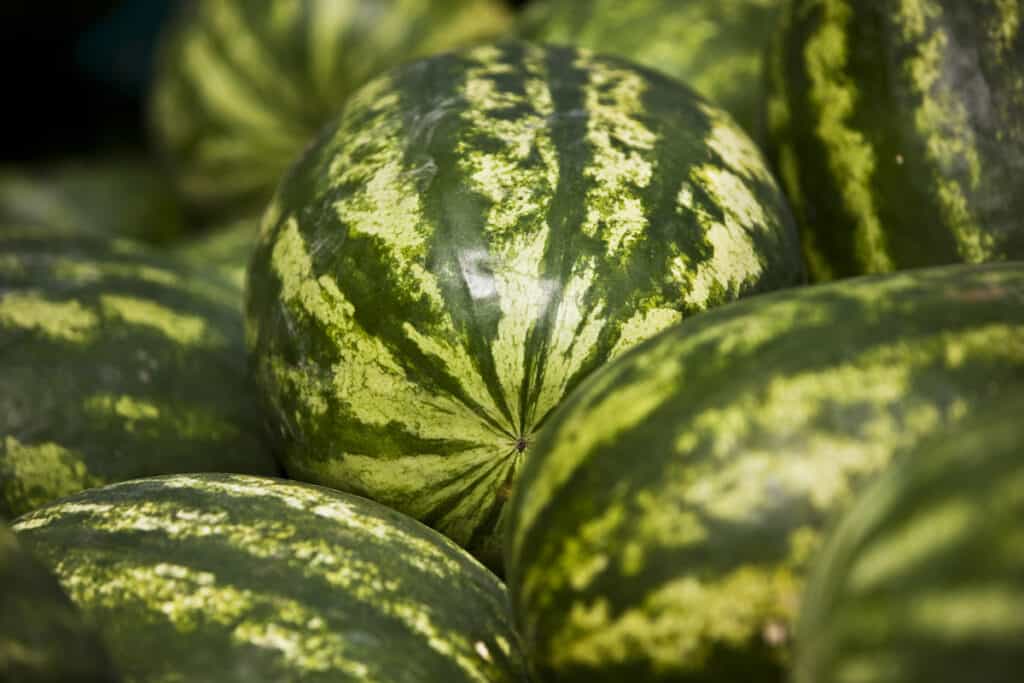 Close up of whole watermelons