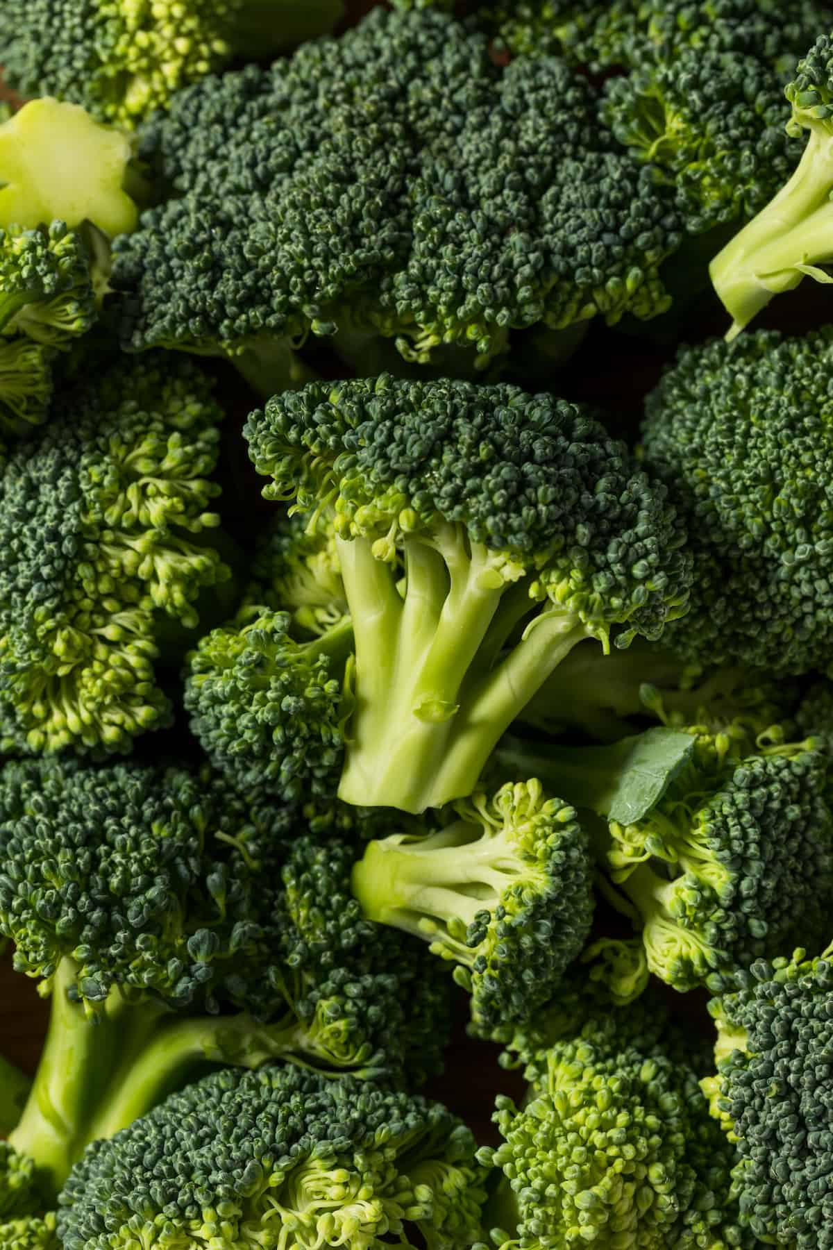 Close up of raw broccoli florets ready to cook