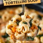 A ladle filled with chicken tortellini soup.